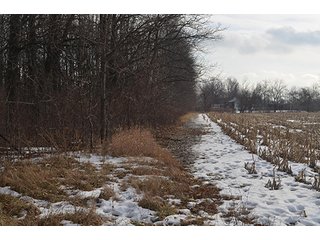 Property photo 20 - FARMLAND AUCTION, 60+/- Acres in 6 Tracts ranging from 4 to 20 acres & in combinations!